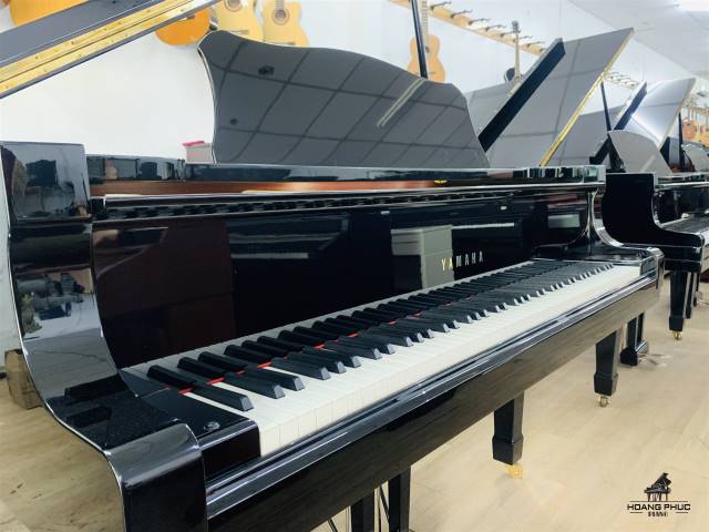 Grand Piano Yamaha C7A Nhập Trực Tiếp Tại Nhật Bản| Hàng Có Sẵn Tại Showroom Piano Hoàng Phúc