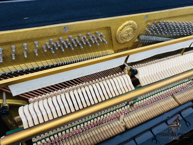 PIANO APOLLO A125- Đen Bóng- Mới 98%| Có sẵn Tại Piano Hoàng Phúc.