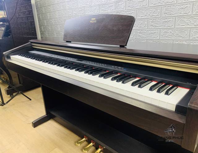 ĐÀN YAMAHA YDP 181 R NGUYÊN BẢN JAPAN | PIANO HOÀNG PHÚC