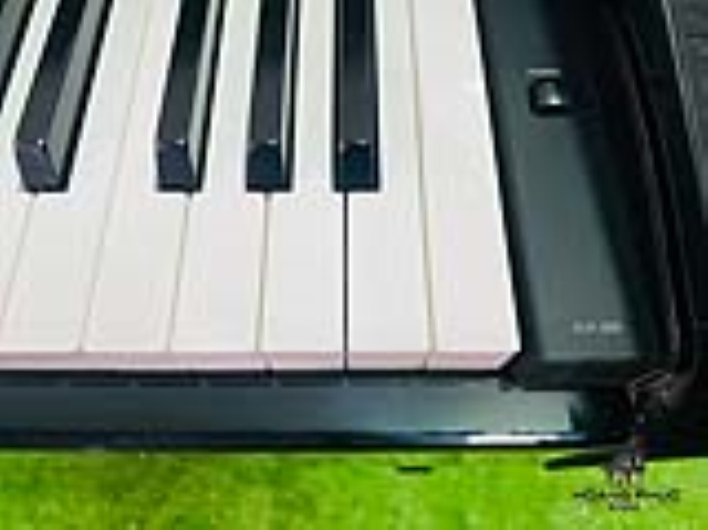 ĐÀN PIANO ĐIỆN  YAMAHA CLP 320  | PIANO HOÀNG PHÚC