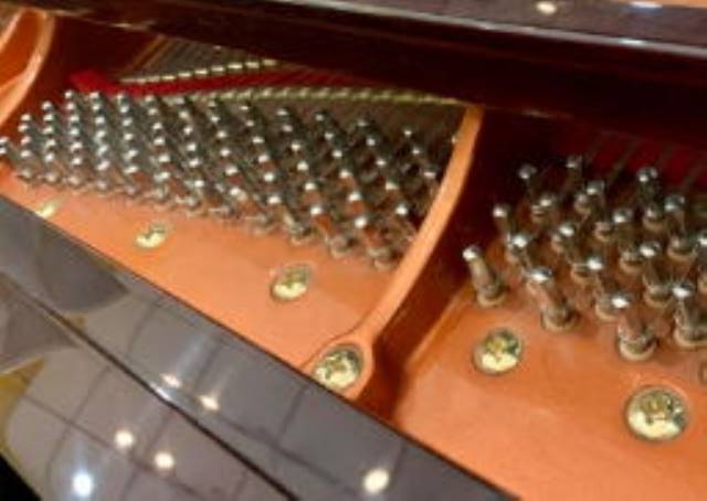 Mua đàn WENDL & LUNG GP-151 giá ưu đãi