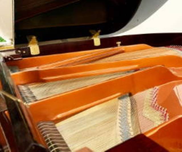 Mua đàn WENDL & LUNG GP-151 giá ưu đãi