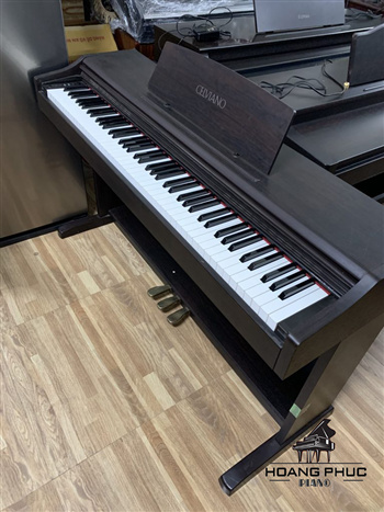 CASIO AP 25