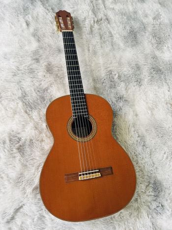 Masaki Sakurai No-10 All Solid ( sx1980 )