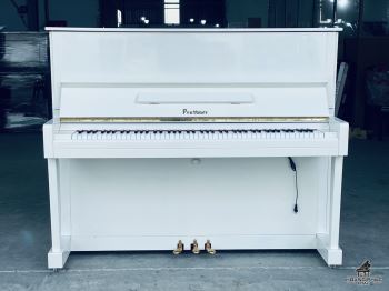 Pruthner P-2 Special