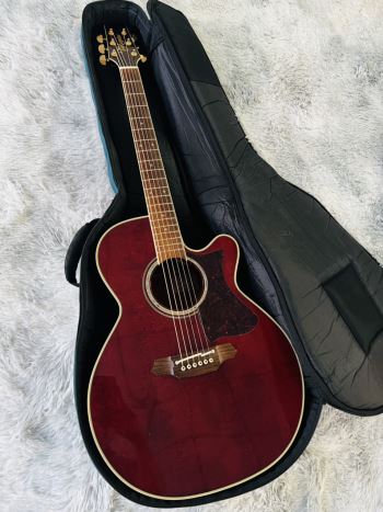 Takamine DMP-512 WR Made in Japan
