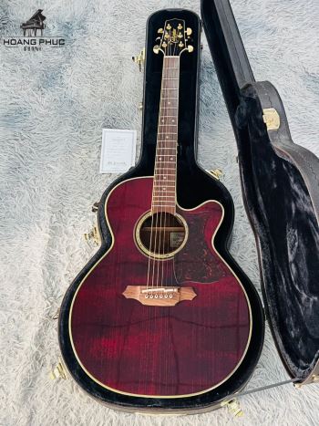 Takamine DMP-551C WR