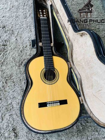 Takamine No10 (FULL SOLID)
