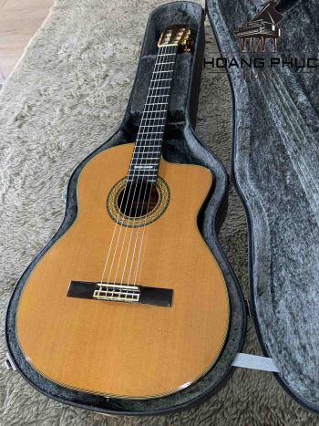 Đàn Guitar Takemine PT 310 